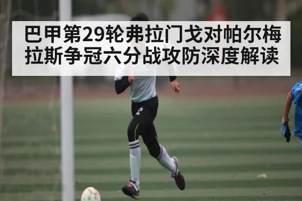 巴甲第29轮弗拉门戈对帕尔梅拉斯争冠六分战攻防深度解读